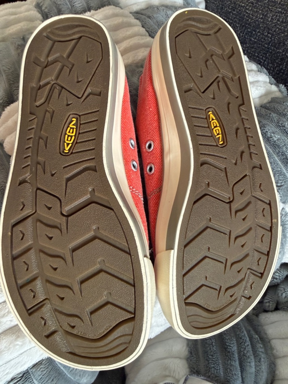 Keen Canvas Sneakers with Gray Laces - Picture 11 of 12